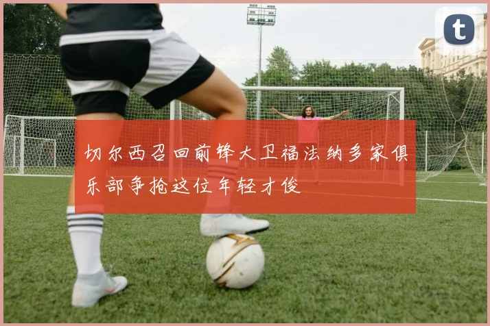 切尔西召回前锋大卫福法纳多家俱乐部争抢这位年轻才俊