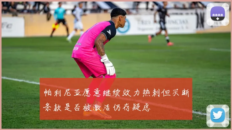 帕利尼亚愿意继续效力热刺但买断条款是否被激活仍存疑虑